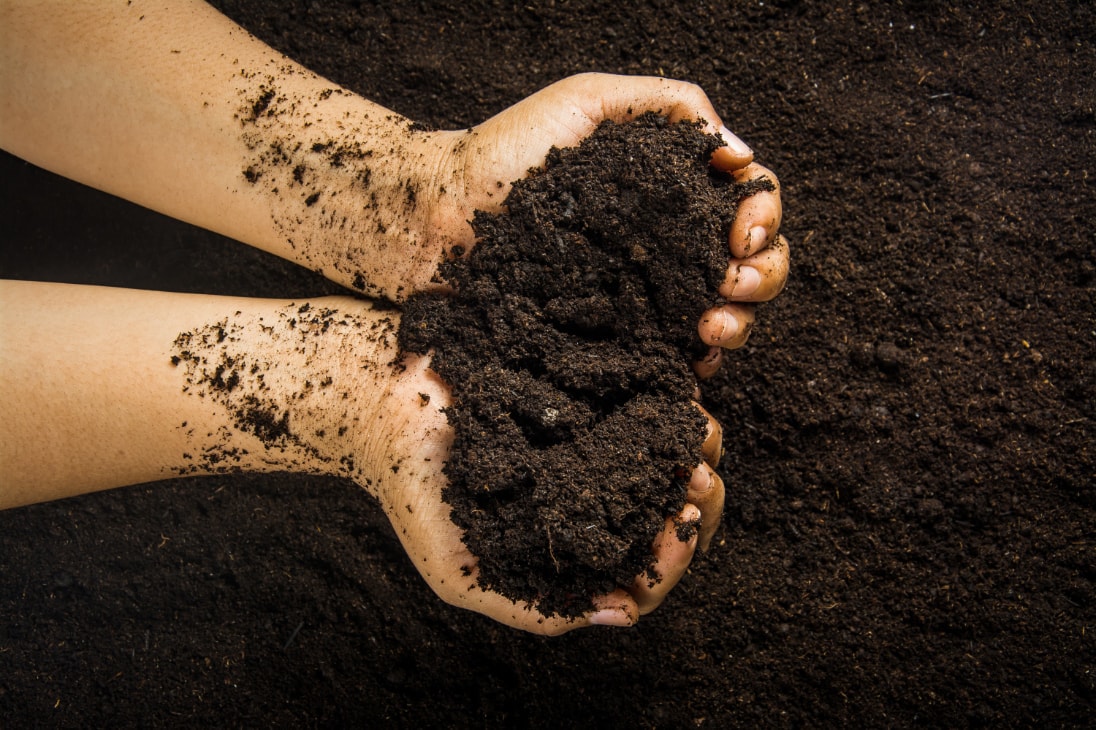 高品質泥炭“ルーフソイル”